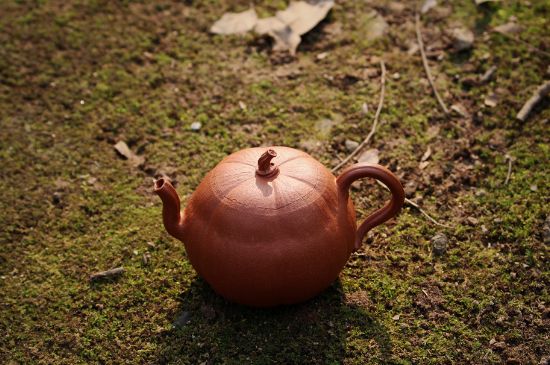 紫砂壺泡什么茶最佳，紫砂壺一般泡什么茶？