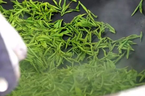 碧螺春為什么泡水渾濁，碧螺春茶葉泡水感覺(jué)很臟是混濁的