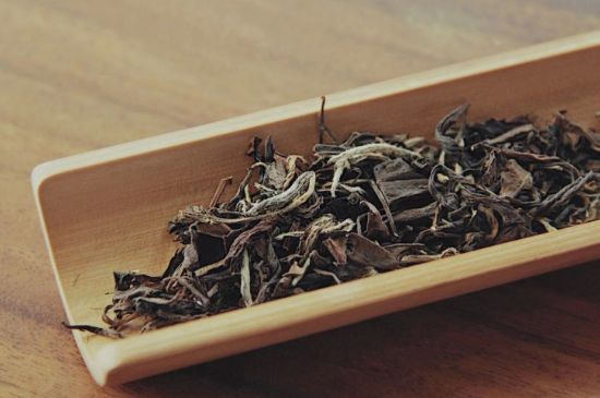 怎么撬老白茶茶餅不容易碎，福鼎白茶如何撬茶方法