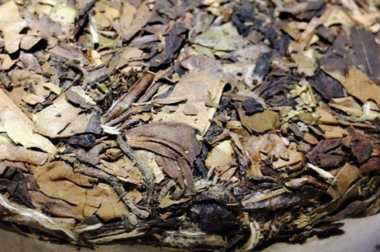煮茶的步驟圖解，正確的煮白茶方法！