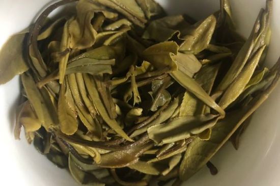 三年白茶賽砒霜，這是真的嗎？