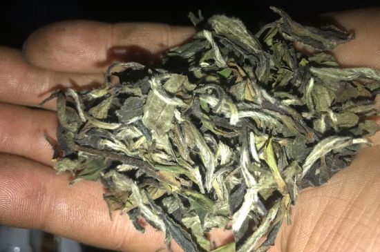 7年壽眉和2年白牡丹哪個(gè)好，老白茶壽眉與白牡丹的口感區別