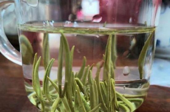 踏雪蘭妃是什么茶，踏雪蘭妃是哪里的茶葉?