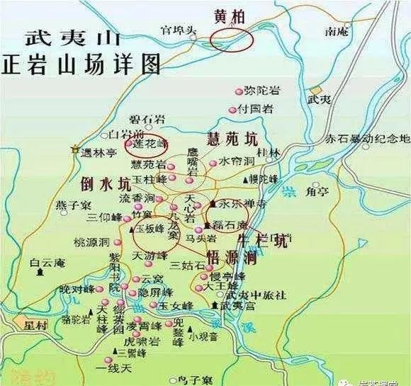 300塊錢(qián)的金駿眉能喝嗎，兩三百多金駿眉和一千多區別