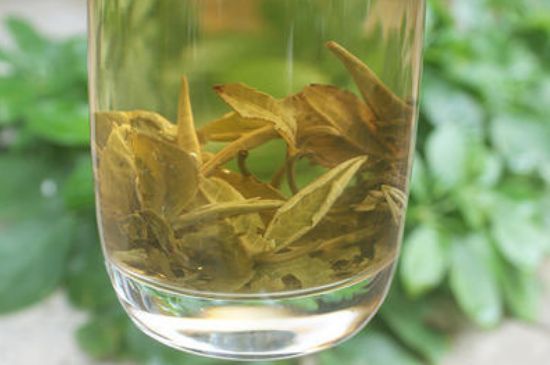 茉莉龍珠泡開(kāi)后為什么都是梗，茉莉龍珠泡開(kāi)后什么樣？