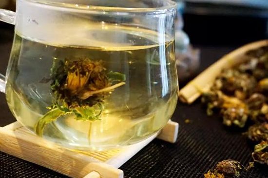 蒲公英最佳搭配，蒲公英茶和什么搭配泡水最佳