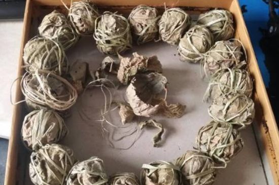 鷓鴣茶用拆開(kāi)泡嗎，鷓鴣茶要解開(kāi)繩子泡嗎