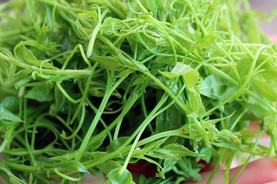 茅巖莓茶保質(zhì)期有多久，張家界莓茶存放時(shí)間長(cháng)了還能喝嗎？