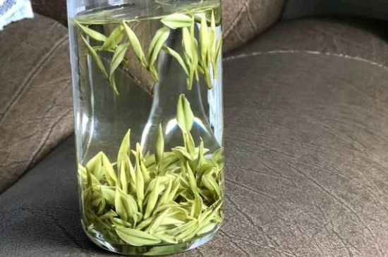 安吉白茶夏天怎么保存，安吉白茶能冷凍儲存嗎？