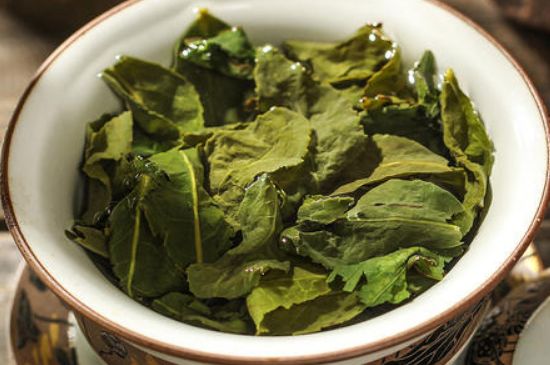 陳茶還是新茶好，茶葉是新茶好喝還是陳茶好喝