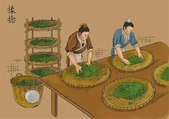 制茶八步驟，制茶工藝流程圖