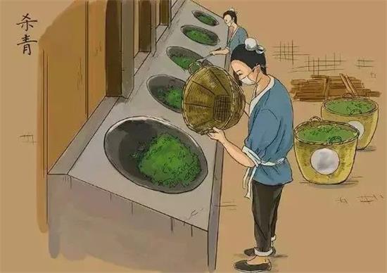 制茶八步驟，制茶工藝流程圖