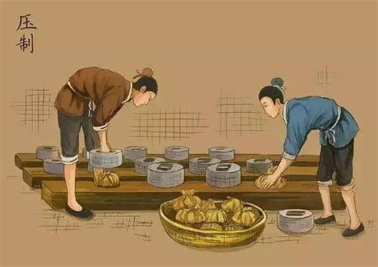 制茶八步驟，制茶工藝流程圖