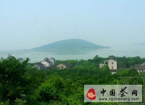 碧螺春產(chǎn)地:東洞庭山