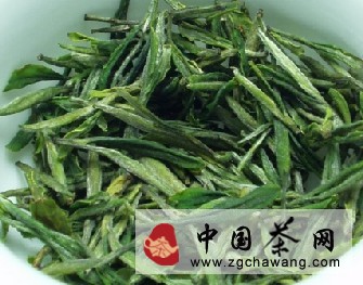紫筍茶的根基特征和成長(cháng)史