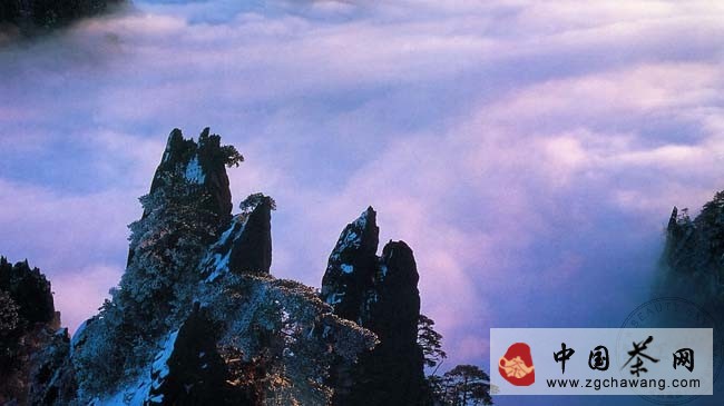 紅茶故事傳說(shuō)