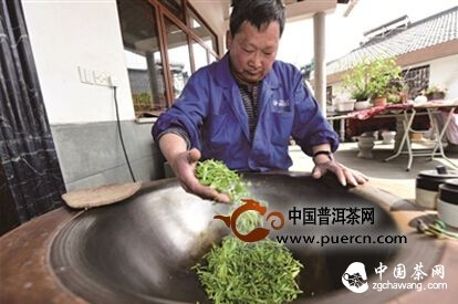 第一鍋西湖龍井春茶開(kāi)炒
