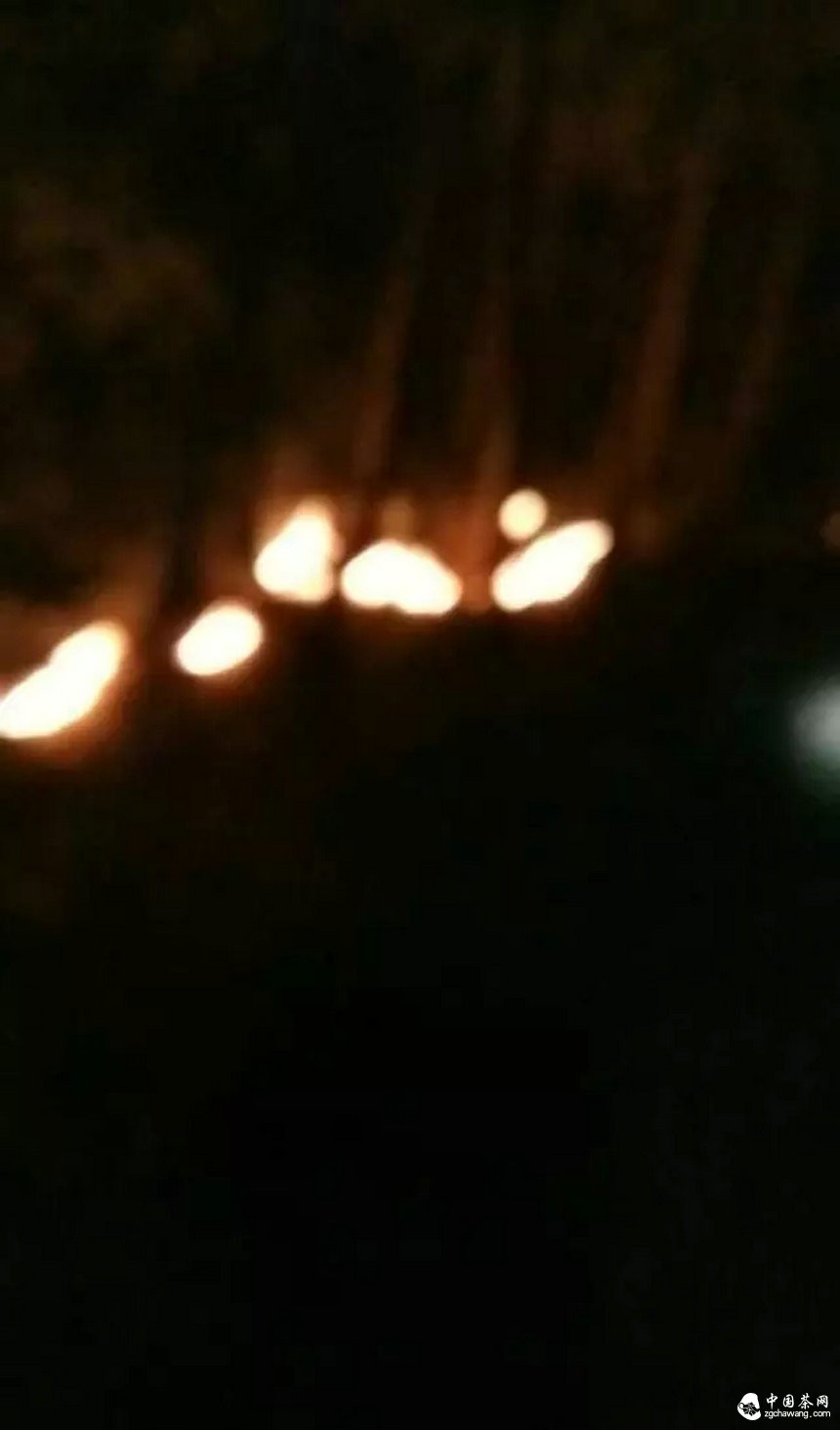 彎弓火災明火已滅，受災茶園上千畝！彎弓寨盧隊長(cháng)播報最新?tīng)顩r