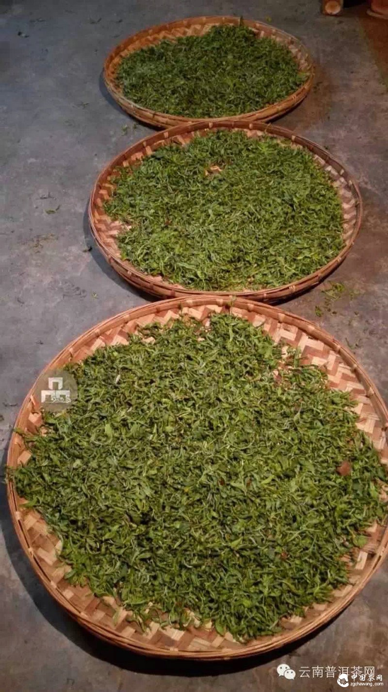 2015云南茶山全程實(shí)錄 千里足跡