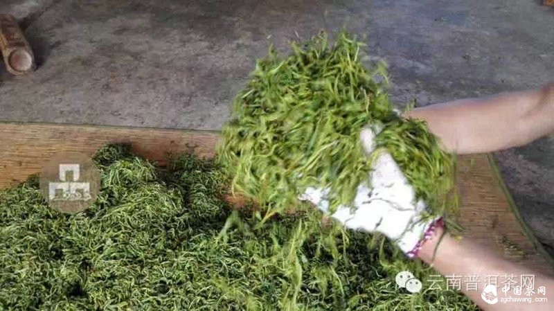 2015云南茶山全程實(shí)錄 千里足跡