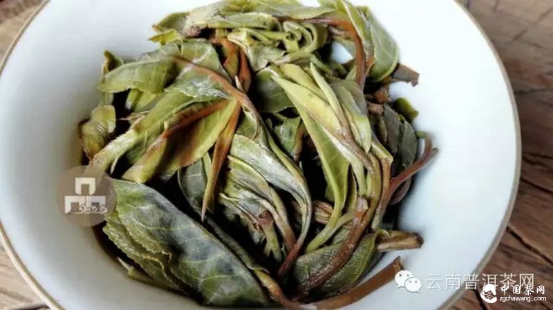 2015云南茶山全程實(shí)錄 千里足跡