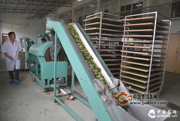 新昌茶農建起茶葉全產(chǎn)業(yè)鏈 "跑"贏(yíng)茶業(yè)轉型升級路