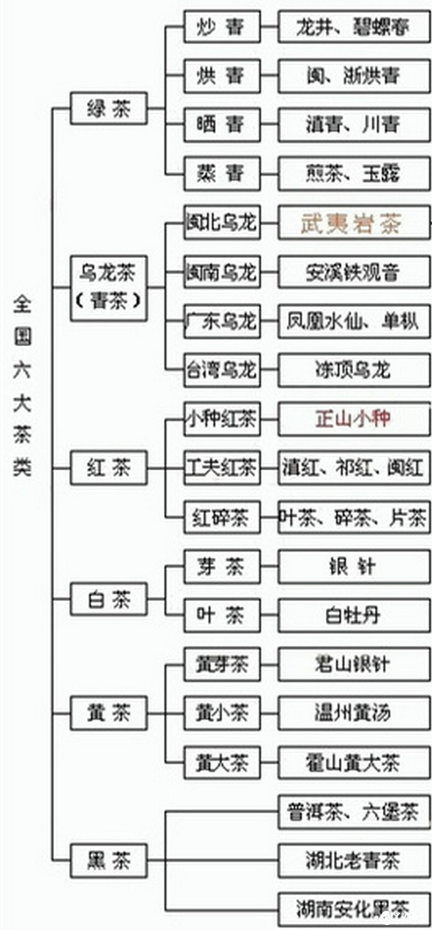 假如普洱茶的是個(gè)蘿卜