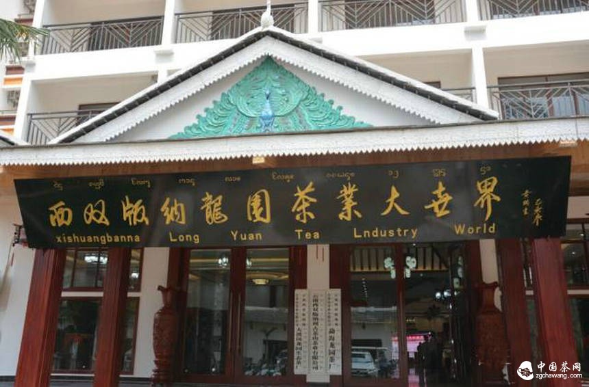 保護云南古茶樹(shù)刻不容緩騰訊“99”公益日龍園在行動(dòng)