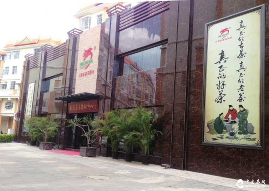 保護云南古茶樹(shù)刻不容緩騰訊“99”公益日龍園在行動(dòng)