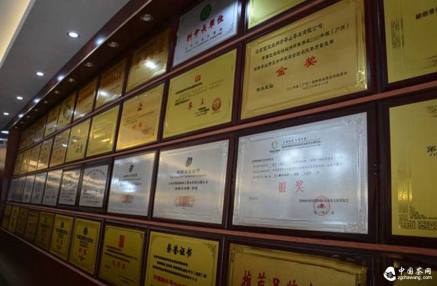 保護云南古茶樹(shù)刻不容緩騰訊“99”公益日龍園在行動(dòng)