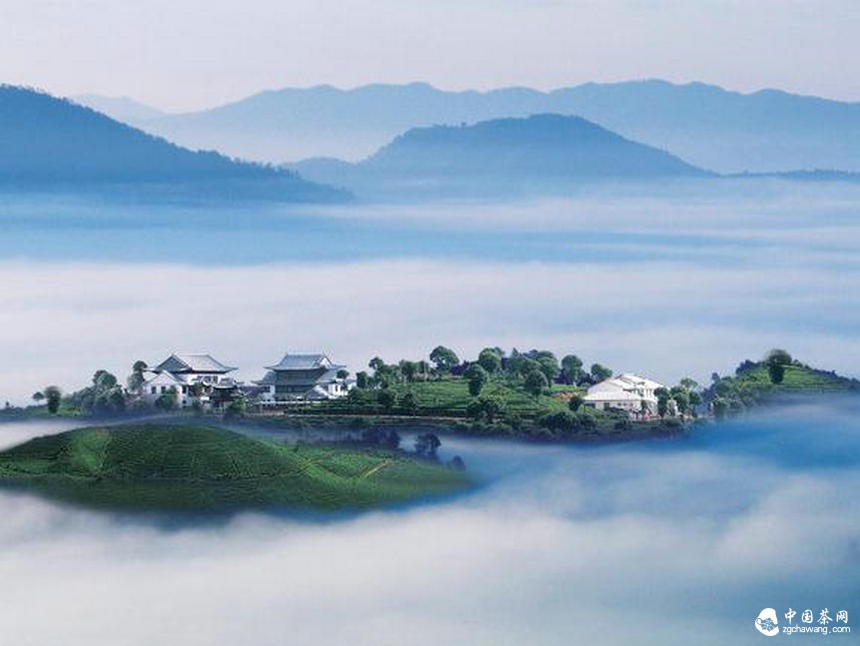 2015年武漢茶葉市場(chǎng)遇冷 茶商轉向主營(yíng)普洱茶