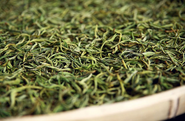 雙江勐庫冰島茶：譽(yù)滿(mǎn)神州蜚聲海外