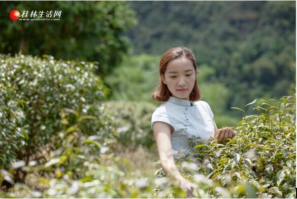 中國衡陽(yáng)新聞網(wǎng) www.e0734.com