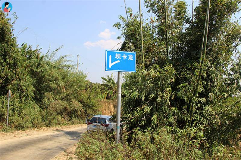 這座寨子至今已有1300多年的歷史，是最古老茶農濮人的后裔
