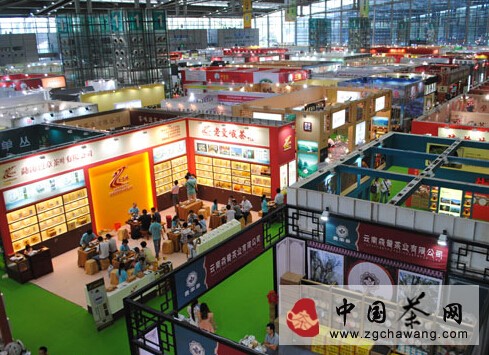 百年老茶遇上4歲茶人 深圳茶博會(huì )茶文化逆襲商業(yè)味