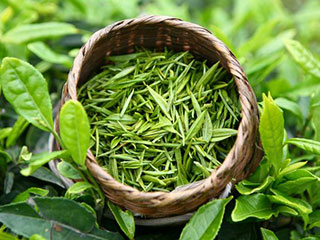 養生排毒茶，適合各類(lèi)人群